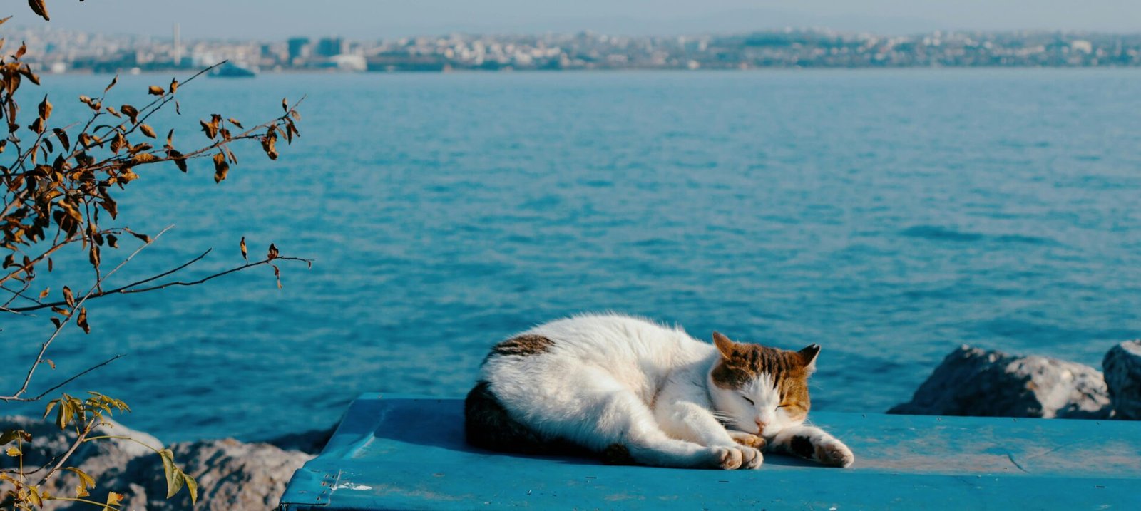 What Recovery Days in Istanbul Are Actually Like